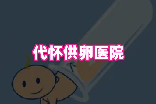 swisee孕网 2
