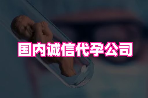 swisee孕网 3