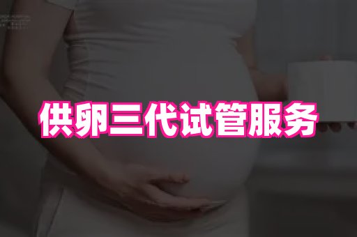 swisee孕网 4